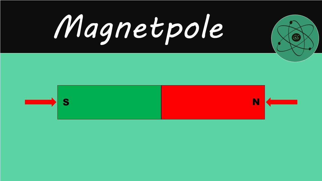 Magnetpole