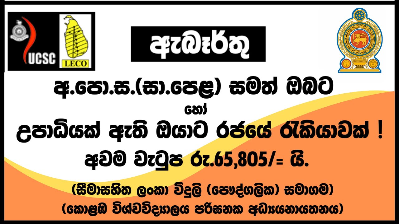 රජයේ රැකියා I Government Jobs in Sri Lanka I UCSC I LECO I JobFlix SL