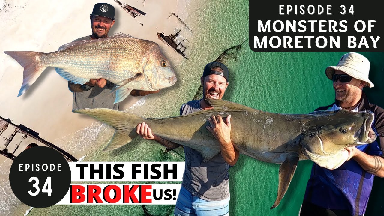 THIS FISH BROKE US | MONSTERS of MORETON BAY - Ep 34
