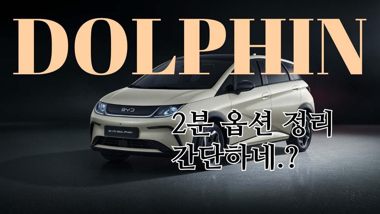 BYD 돌핀 옵션 정리 2분 완성