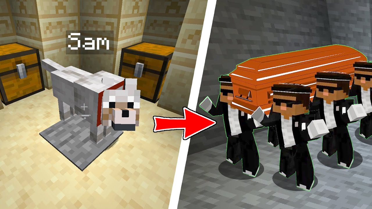 Minecraft Coffin Dance meme (Funeral Edition)