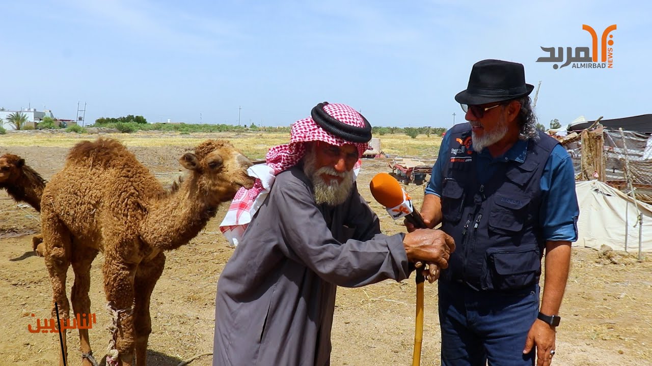 أبو مجبل .. قصة عشق لاتنتهي مع (لطيفة وكالطة وعفرة) 