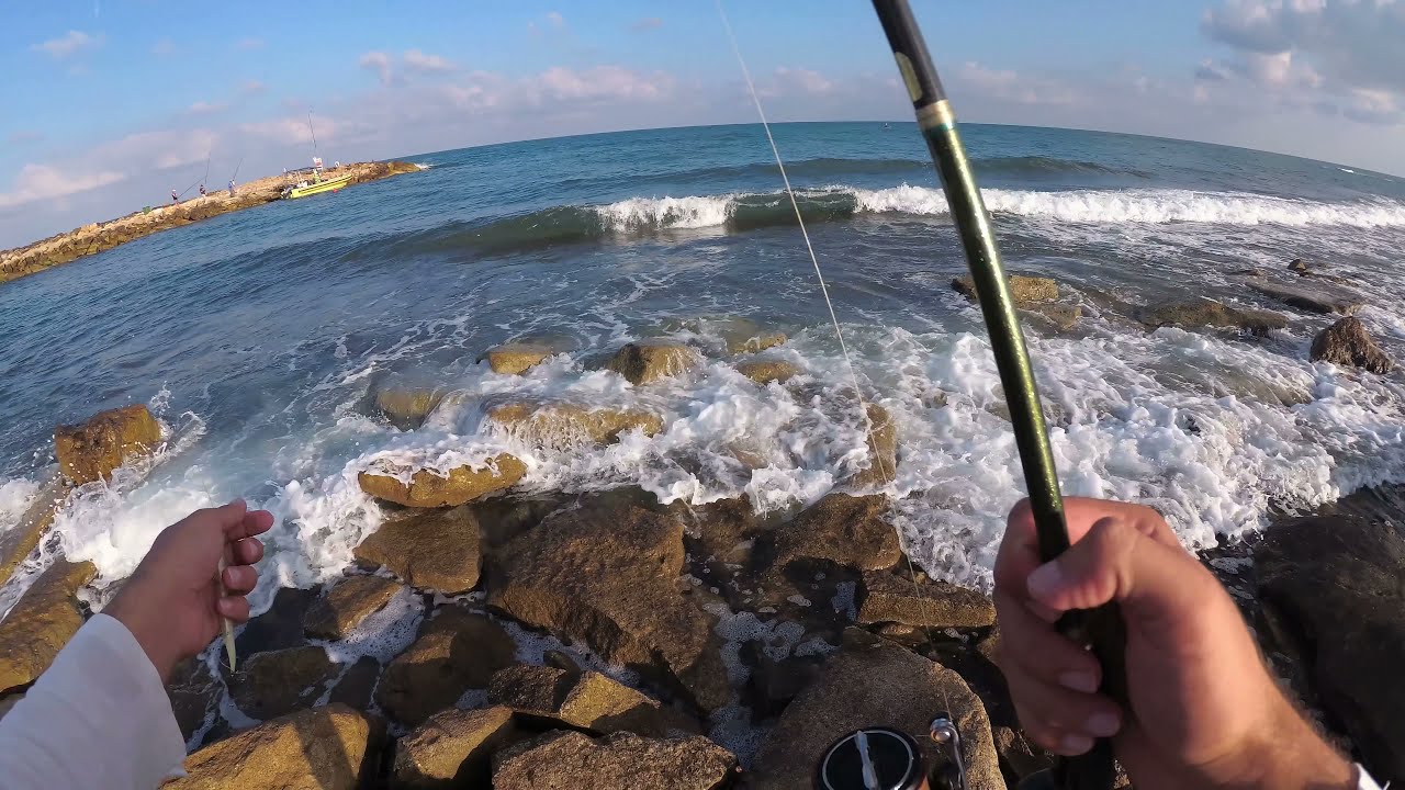דייג 2021 אקסלייר או חיקוי סקאגט מה יתפוס יותר?? ultralight fishing for sea bass & grouper