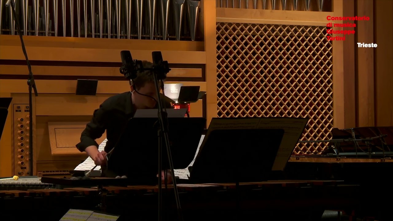 Ivan Fedele: WOOD-SKIN TRACKS (2015/16) per due percussioni e light electronics