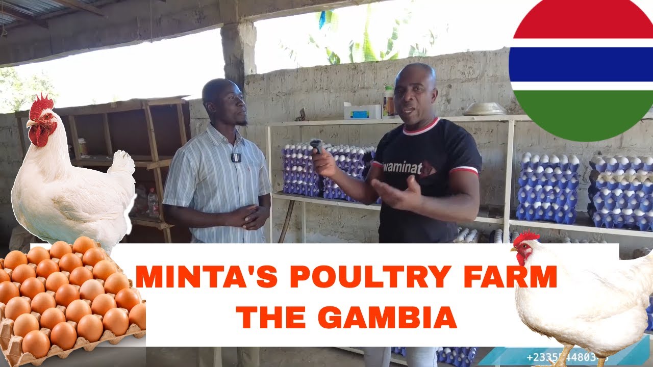 How he Moved from Italy 🇮🇹 to Open the biggest Poultry Farm in The Gambia