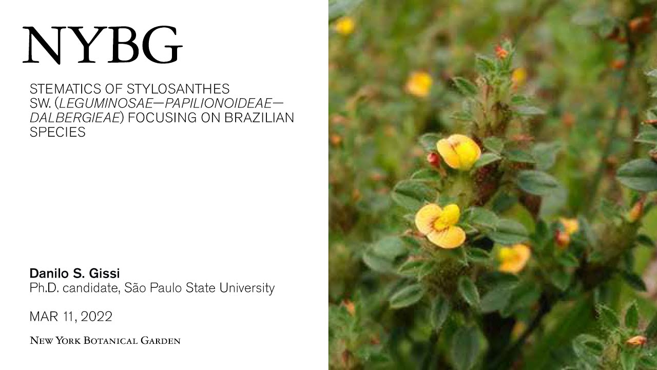 Systematics of Stylosanthes Sw. (Leguminosae &ndash; Papilionoideae &ndash; Dalbergieae)