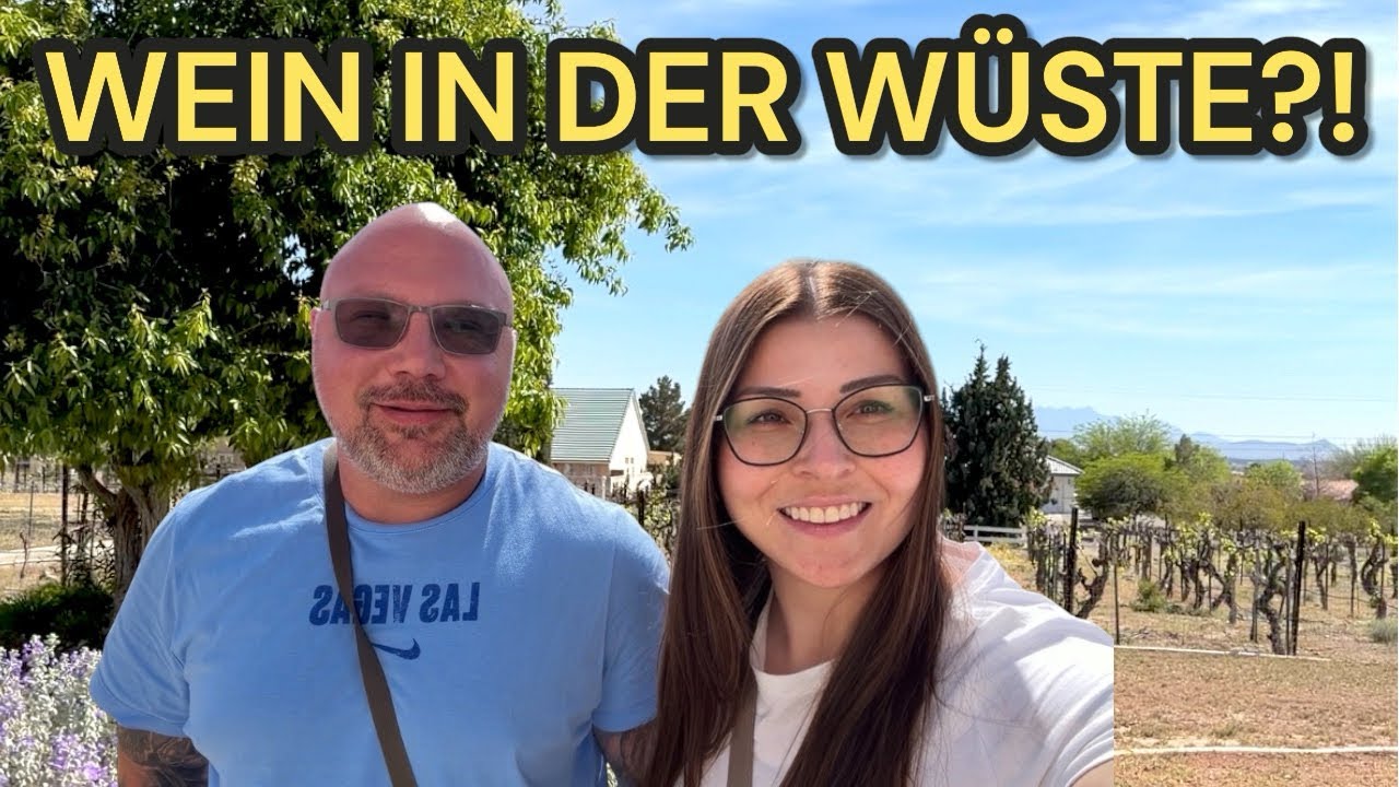 USA Alltag eskaliert-M&ouml;bel shoppen, Nageltermin & Weinprobe in der W&uuml;ste (inkl. F&uuml;hrerschein Update)