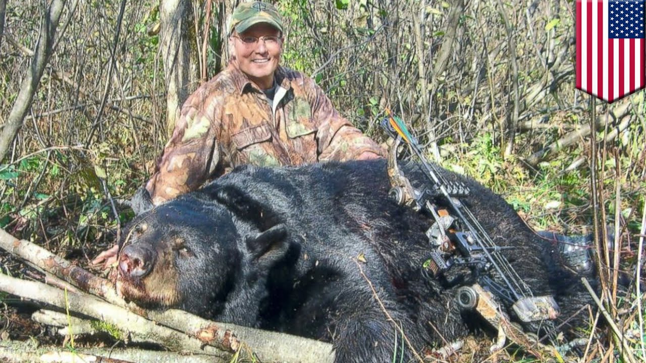 Cecil the Lion killer Walter Palmer's history of illegal hunting practices revealed - TomoNews