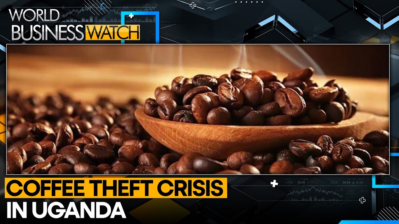 Rising theft in Uganda amid soaring global coffee prices | World Business Watch | WION