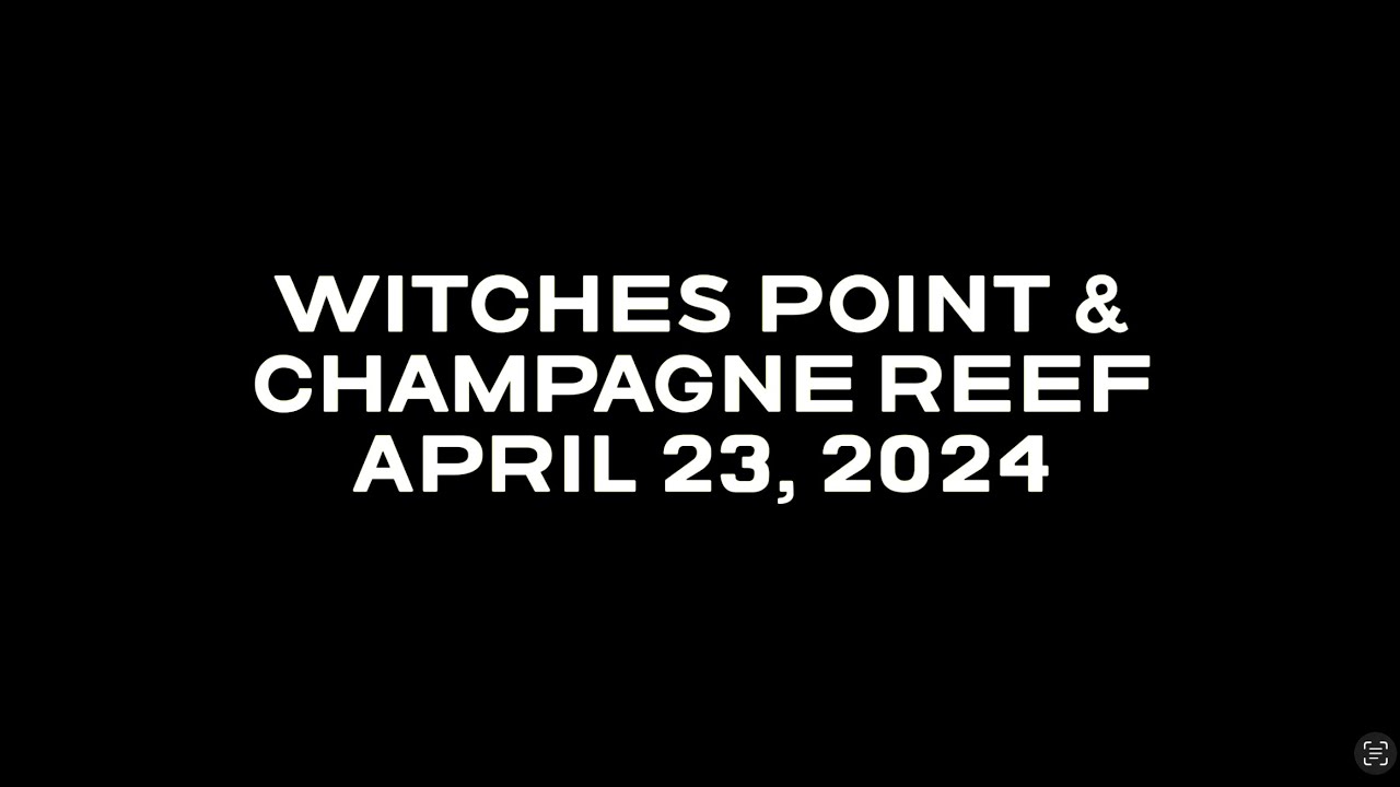 Dominica 2024 - Witches Point & Champagne Reef