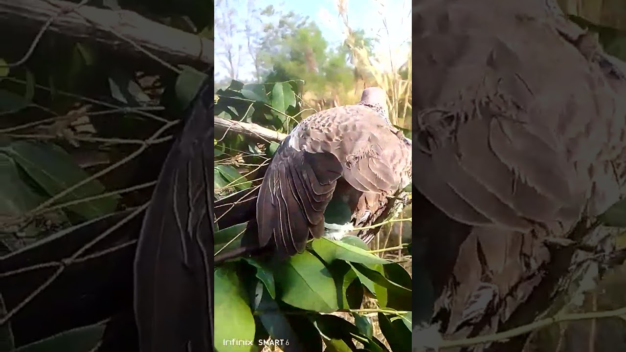 10 มกราคม ค.ศ. 2026