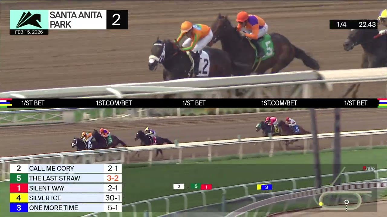 Лошадь The Last Straw одержала победу во второй гонке в воскресенье, 15 февраля, на ипподроме Сан...