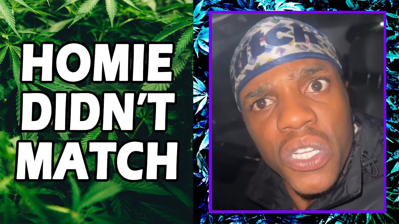 WEED MEMES & Fail Compilation [#222] - Fatally Stoned