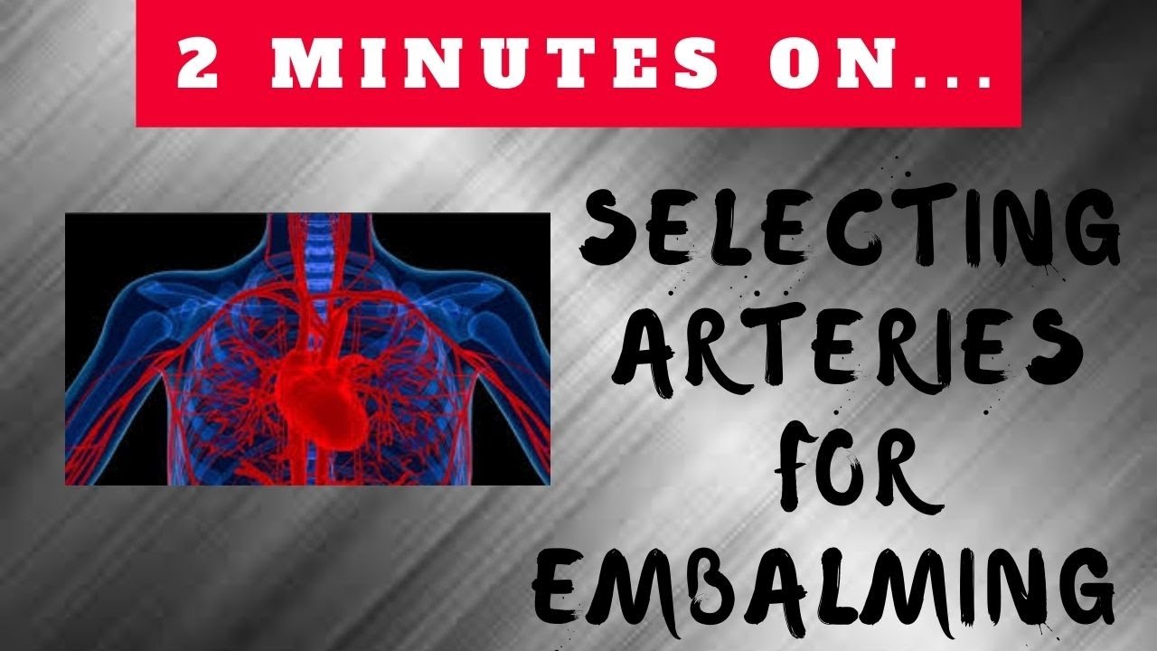 How Do You Select Which Artery to Use for Embalming? - Just Give Me 2 Minutes