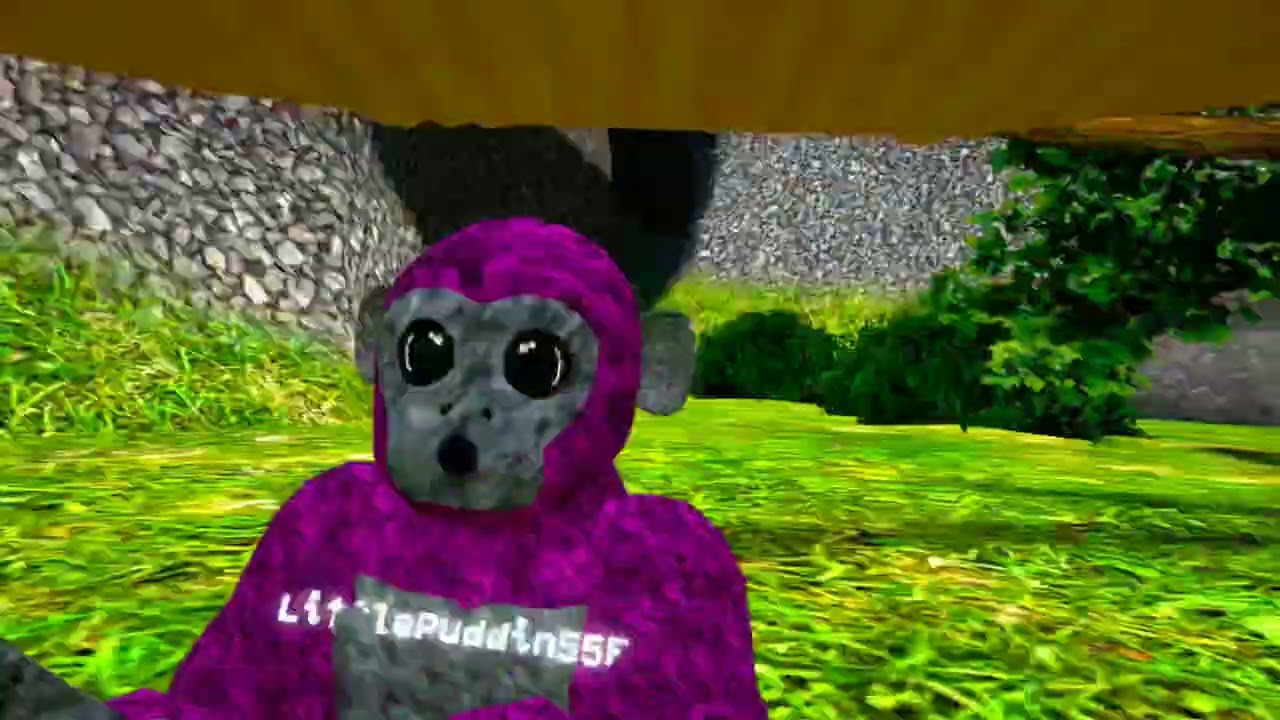 I played almost every game mode in scary baboon ￼