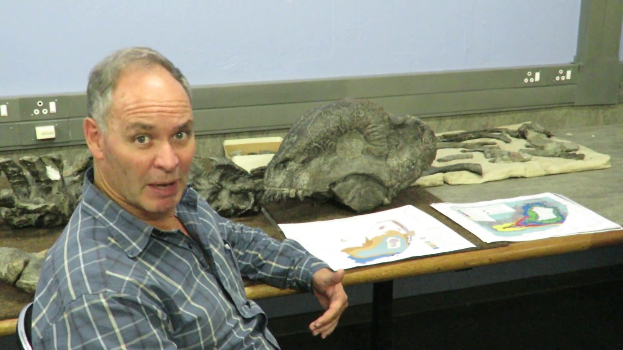 Palaeontological field exploration in the South African Karoo