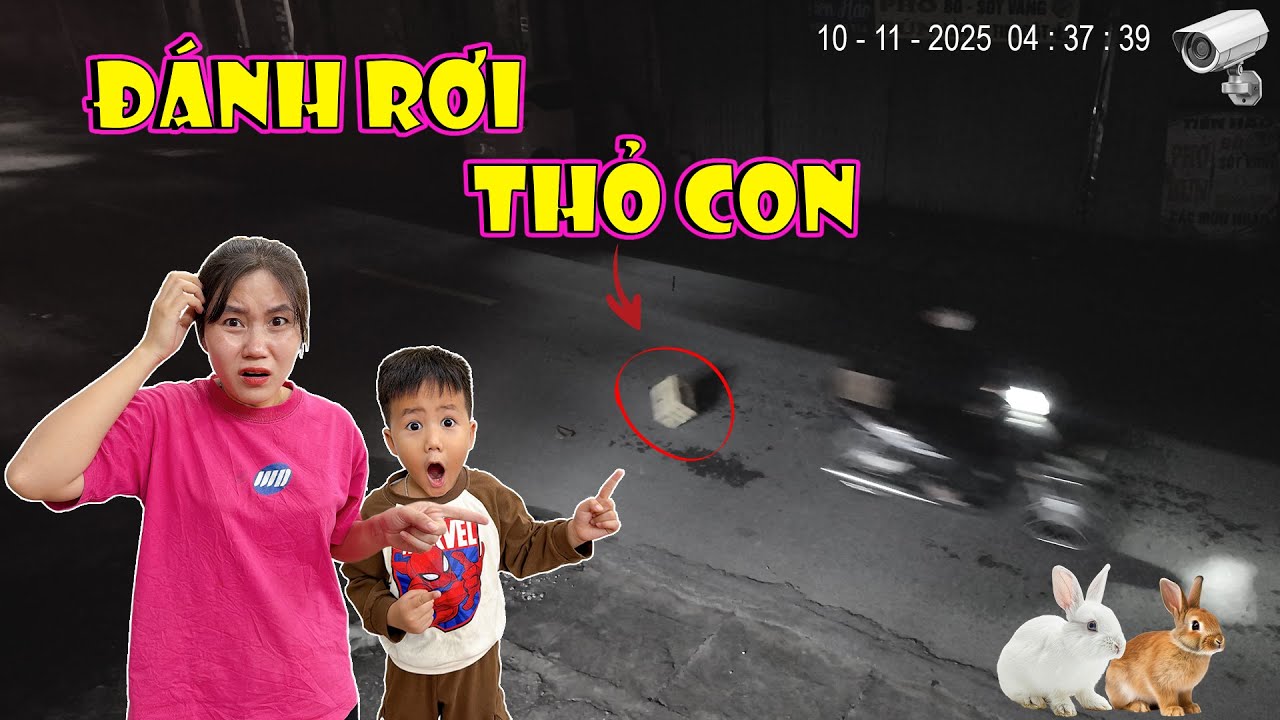 Người Đi Đường Làm Rơi - Chị Ruby Cùng Minh Trí Trải Nghiệm Lần Đầu Nuôi Thỏ | Minh Trí Family