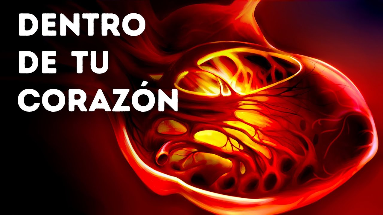Un viaje dentro del corazón humano, el motor más poderoso del mundo