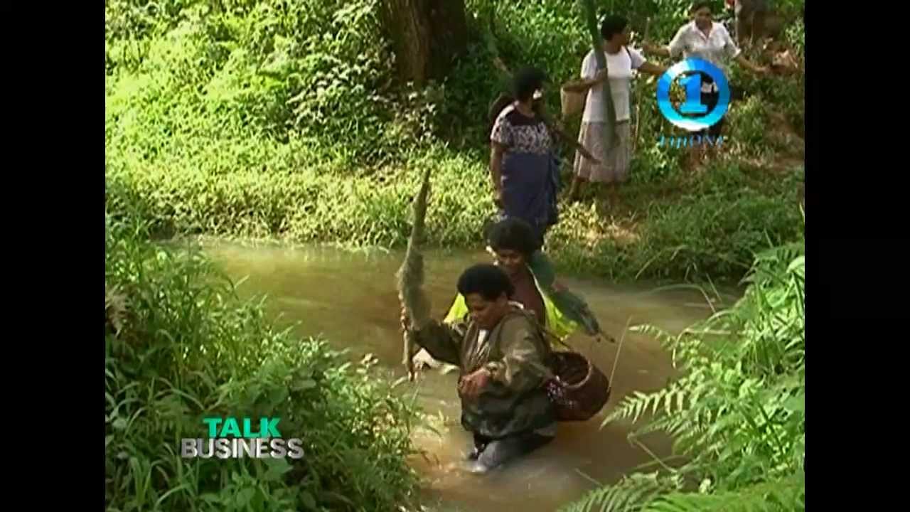 RURAL WOMEN EMPOWERMENT - TAILEVU FARMING