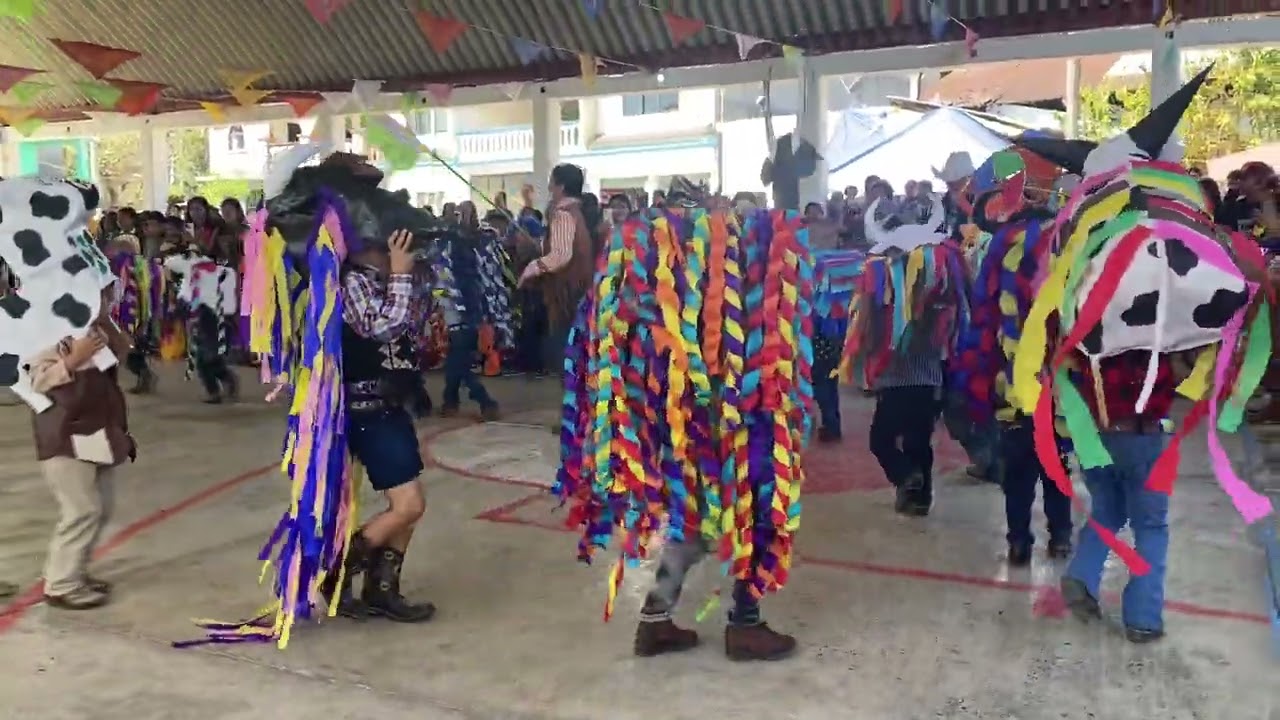 Carnaval 2026 , baile de preescolar en san Gregorio ilamatlan Veracruz 