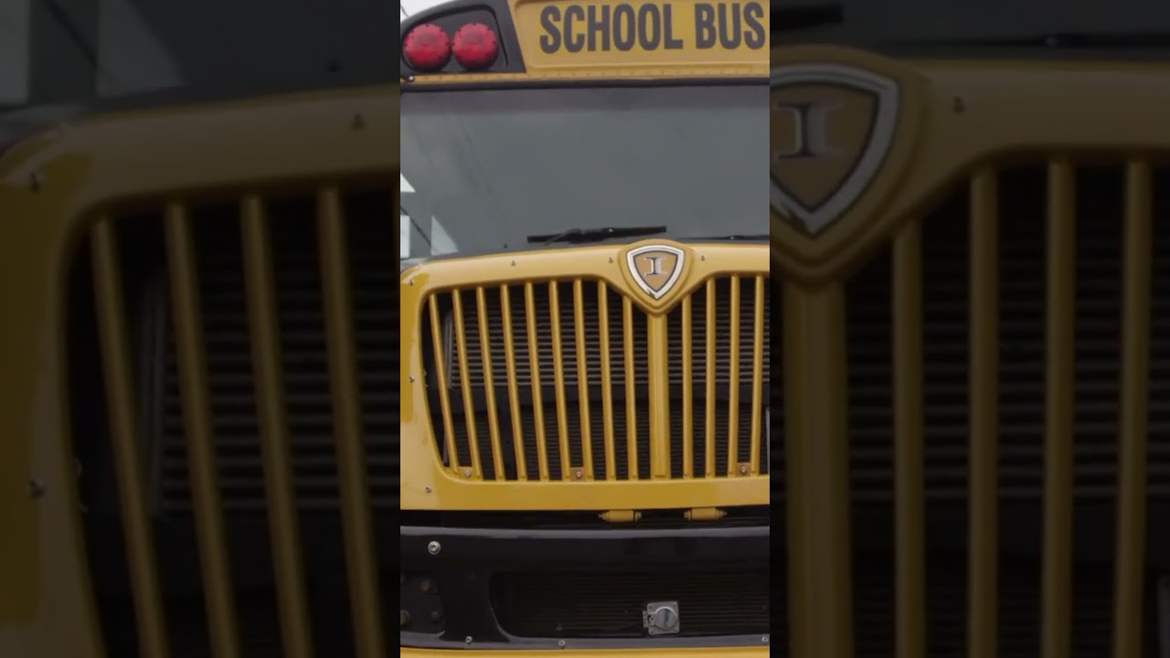 Horn on the bus #wheelsonthebus