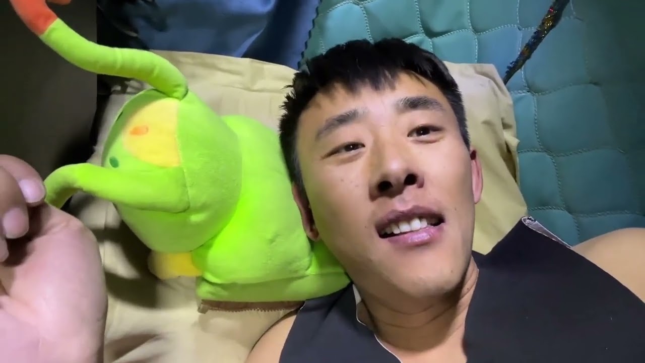 到底要怎么努力才能成为自由人。#vlog十亿流量扶持计划 #货车司机 #卡车司机 #原创视频 #记录真实生活