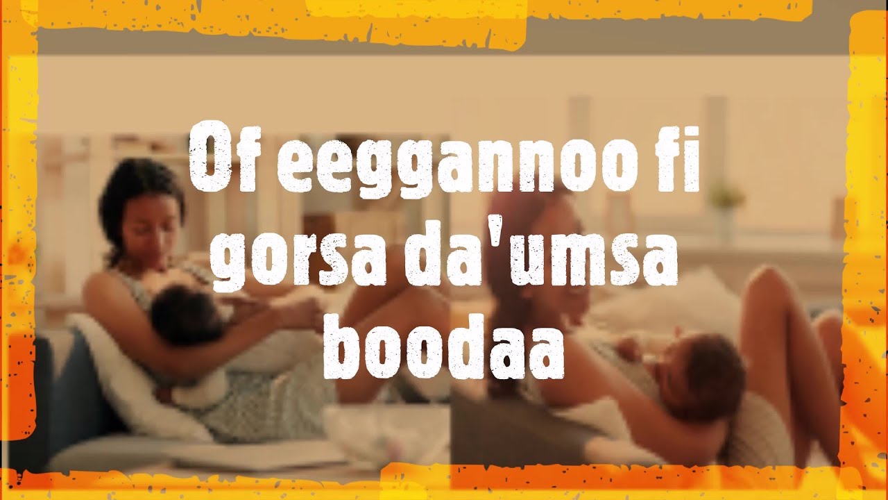 Of eeggannoo fi Gorsa da'umsaa Boodaa