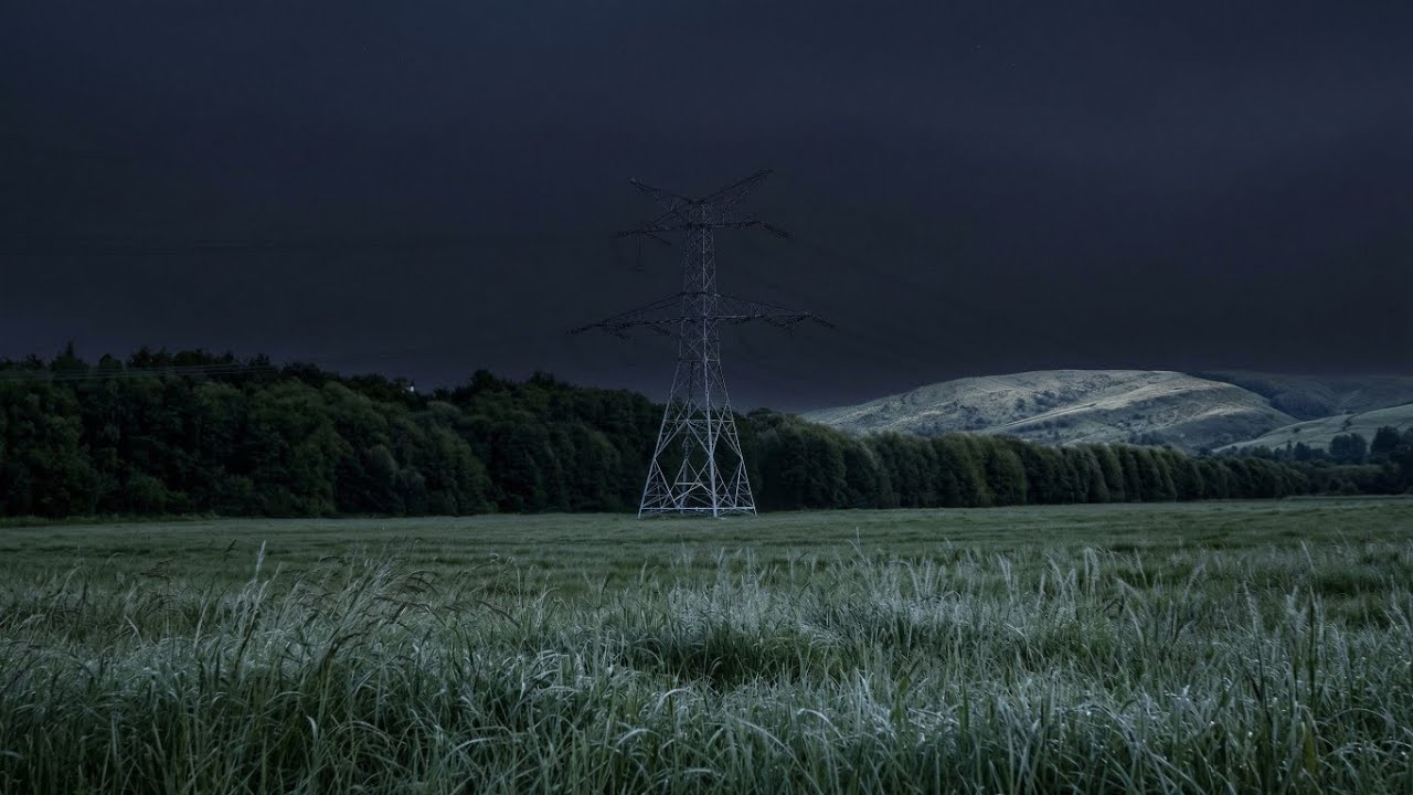 Silent Night Field Ambience 🌙 Crickets Chirping & Lapwing Calls | Nature Sounds for Sleep