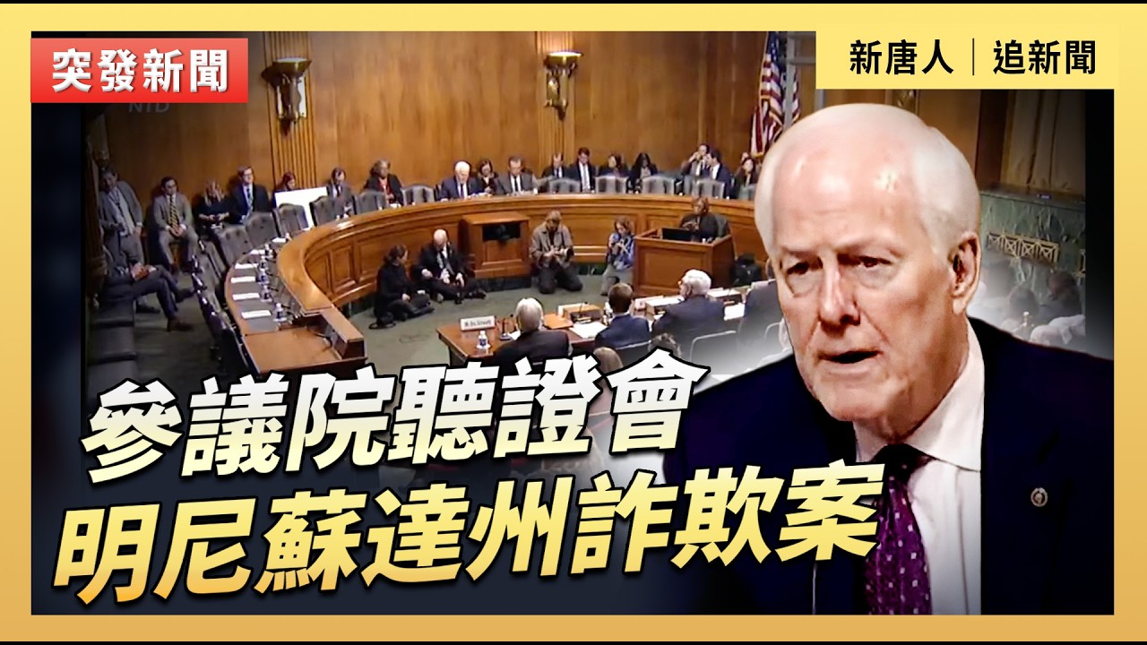 參議院聽證會：明尼蘇達州詐欺案｜#新唐人電視台2/10/2026