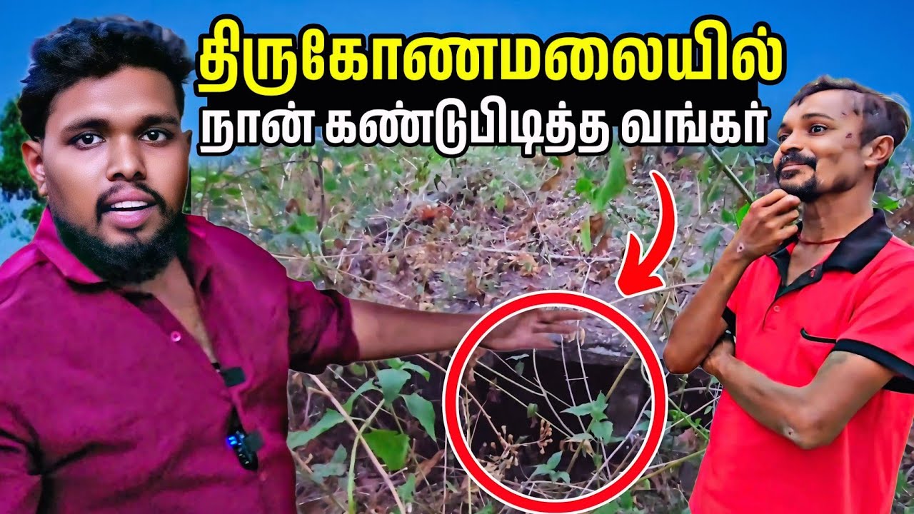 நான் கண்டு பிடித்த வங்கர் 😱 | திருகோணமலையில் | Voice of Anushan