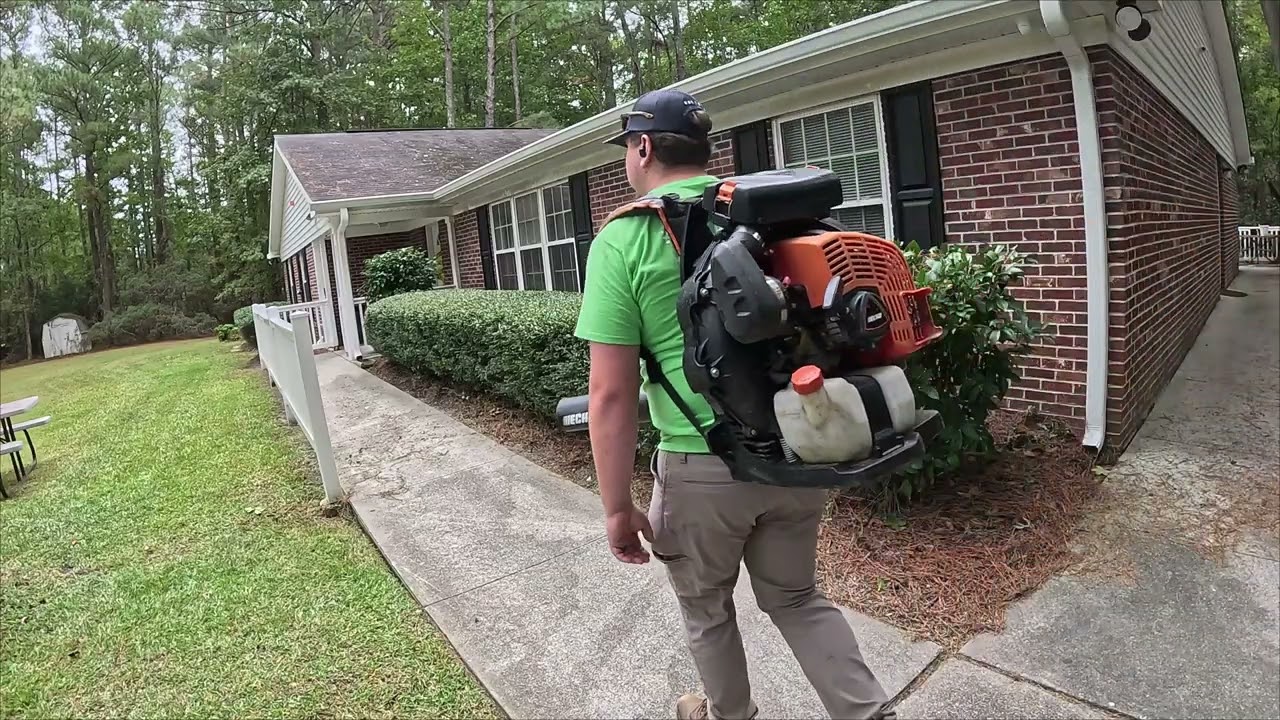 THIS IS MY BACKPACK BLOWER FOR 2025 LEAF CLEANUP SEASON 
