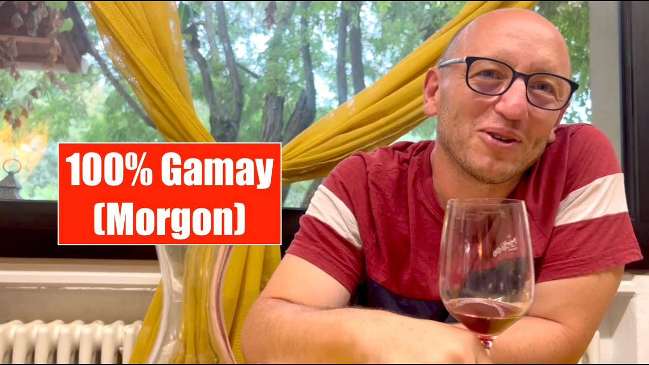 Dégustation vin - Morgon - Gamay - Gilles Paris - Dégustation à l'aveugle
