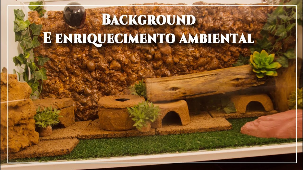 Background para animais e Enriquecimento ambiental.