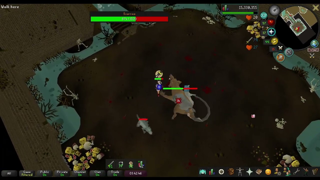 solo scurrius kill 🐀 2026 02 03 22 06 26