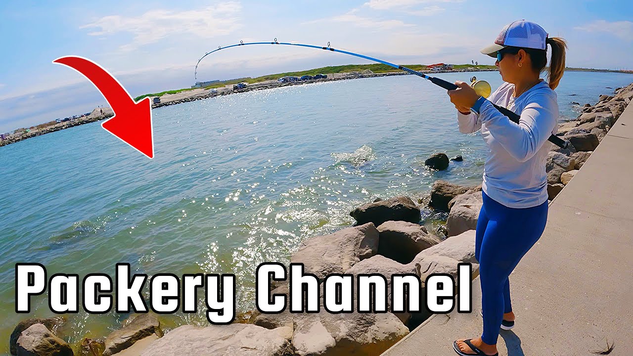 She slayed this Toothy Fish at the Jetties! Packery Channel ( Corpus Christi )