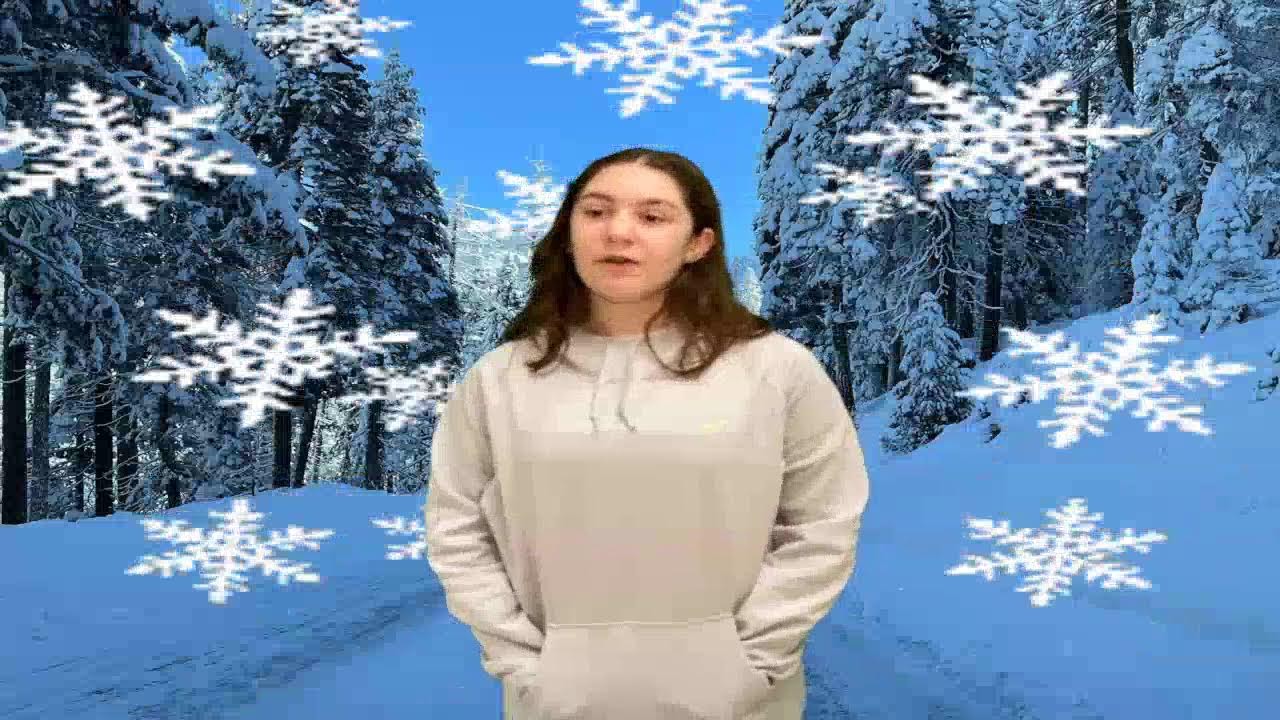 DIS Live Stream