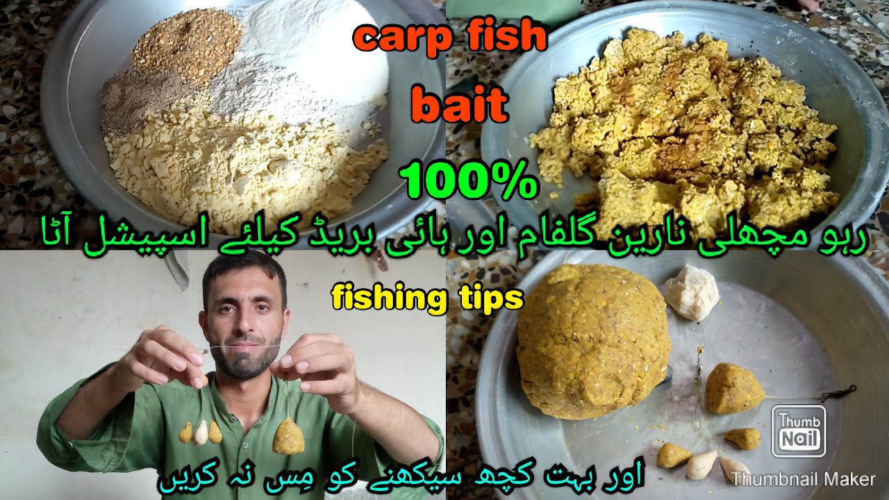 How to Make Yellow Fish Bite best Hook Bait for Summer Season Rohu Fish Narain and Catla Fishes Bait