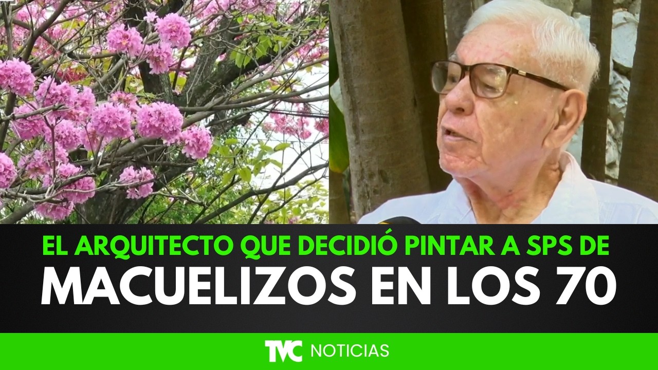 Reconocimiento mundial: El proyecto de arborización de San Pedro Sula que destacó en los 70