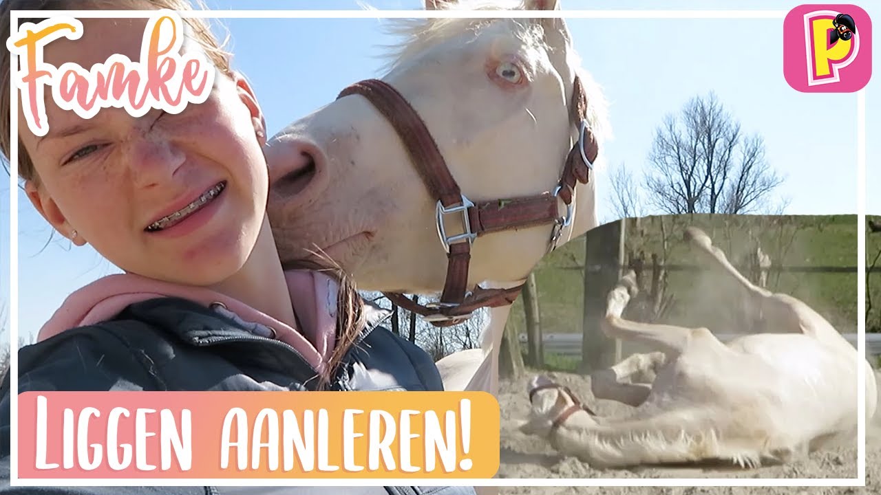 Livaldo leren liggen! | Famke | PennyTV
