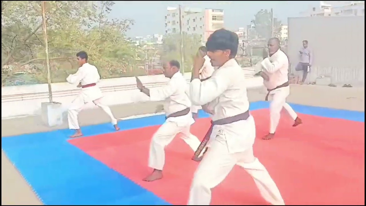 Malli Sir Performs AMAZING Bassai Dai Kata in Karate Martial Arts