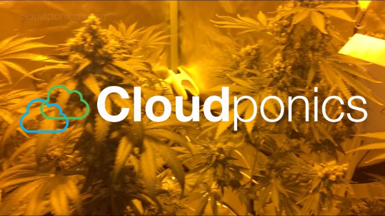 The Cloudponics Grocontrol