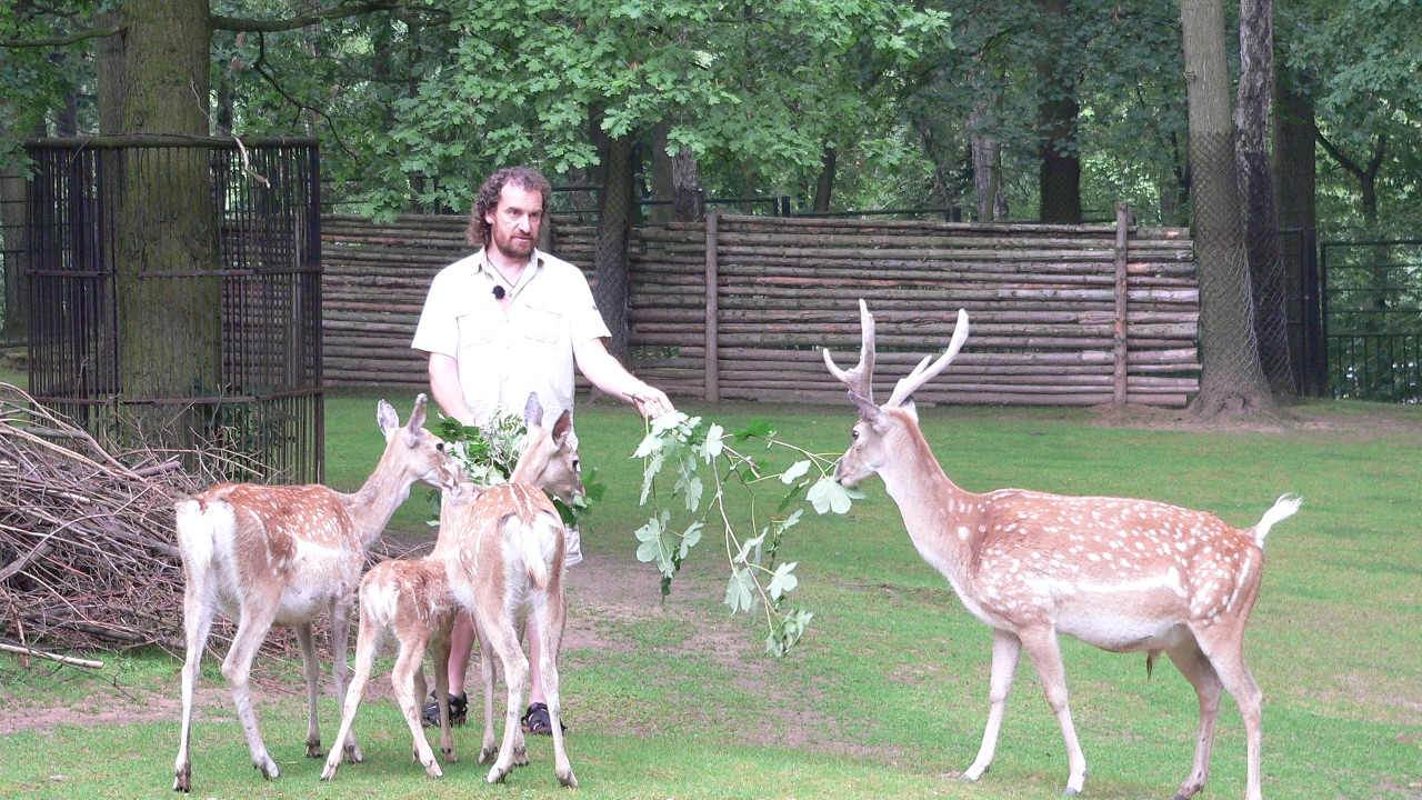 Přežili rok 2000 - Daněk mezopotámský