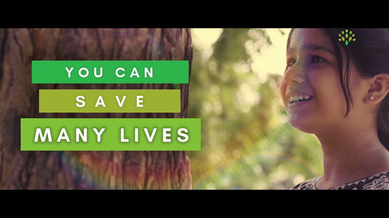 Plant a Tree & Save Pakistan's Future - ChildLife Foundation