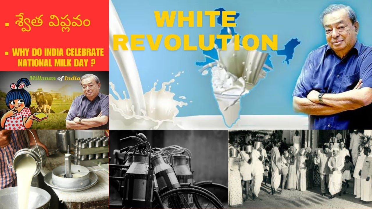 Dairy Industry in India - Problems, challenges and the future of Indian dairy industry.