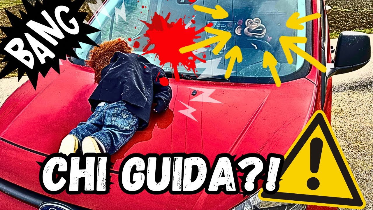 ALL'OSPEDALE DI CORSA!!! ISOTTA IN PUNIZIONE