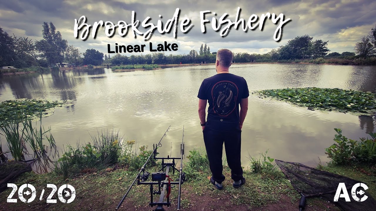 Brookside Fishery | Linear Catfish Lake | My 20/20 Campaign
