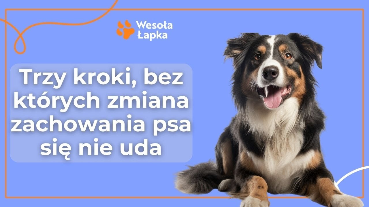 Trzy zasady zmiany zachowania psa