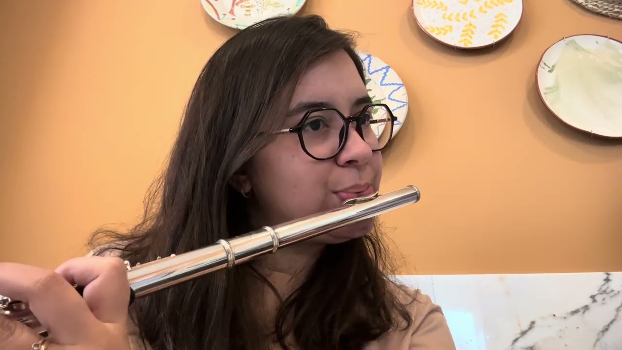Samba de uma nota só - Flauta Transversal e Guitarra 🎶