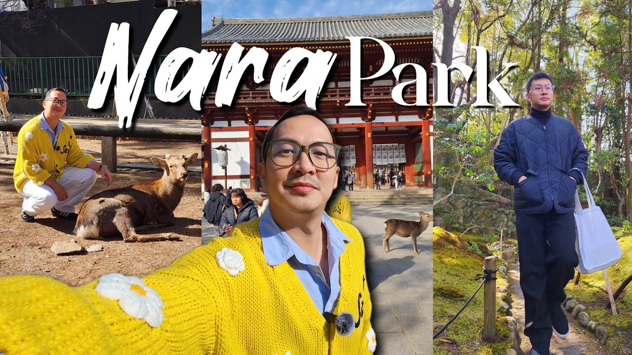THE HIGHLIGHT OF OUR TRIP - OSAKA DAY 4