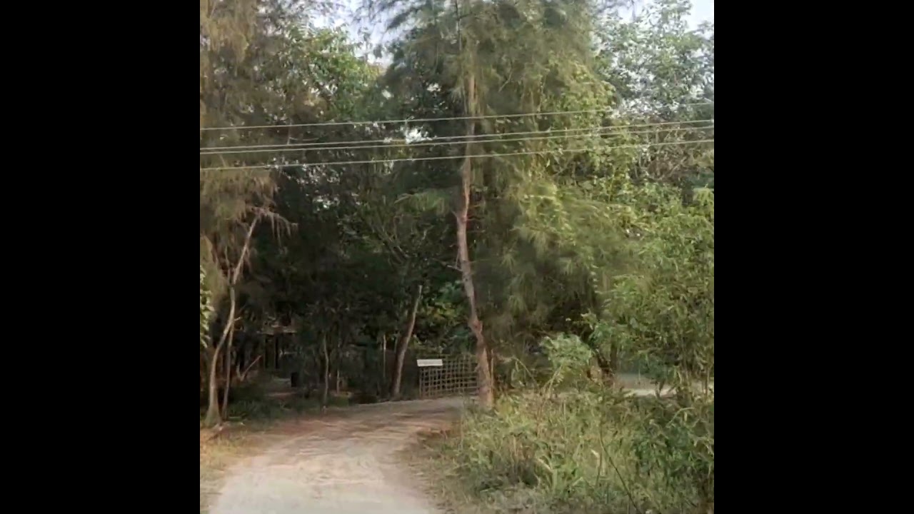 Vanagam - Nammalvar Ecological Foundation #nammalwar #வானகம் #organicfarming  #travelvlog #vanagam